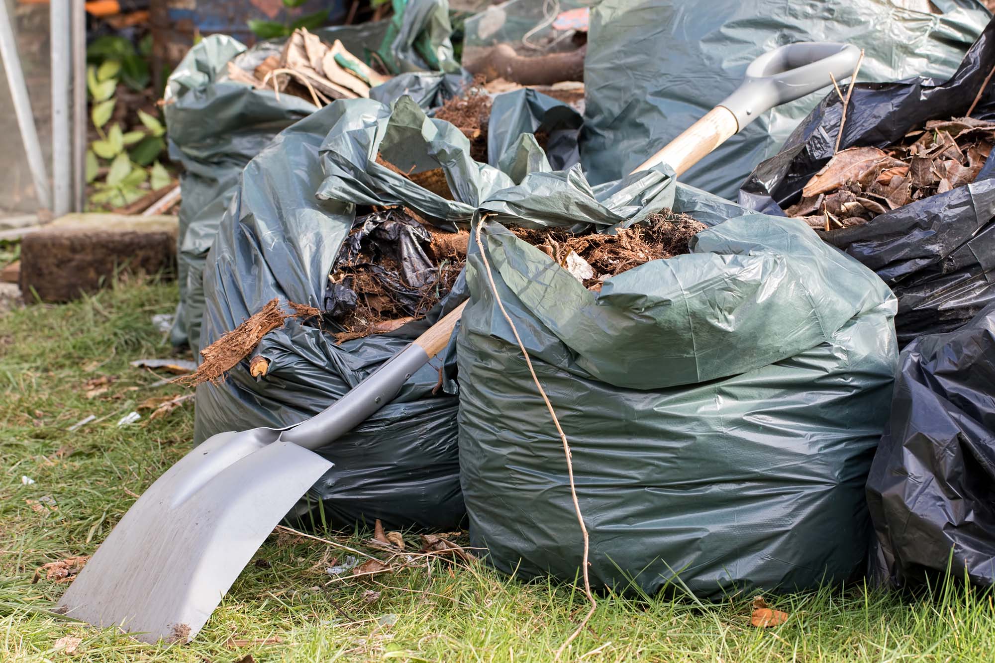 Garden waste. Brown leaves and rubbish by Swansea experts